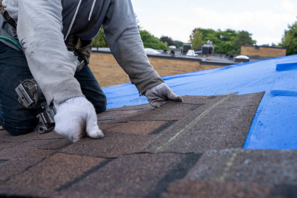Best Roofing Contractors for Homes  in Ansonia, OH