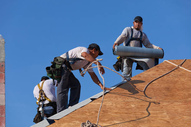 Best Roof Maintenance Services  in Ansonia, OH